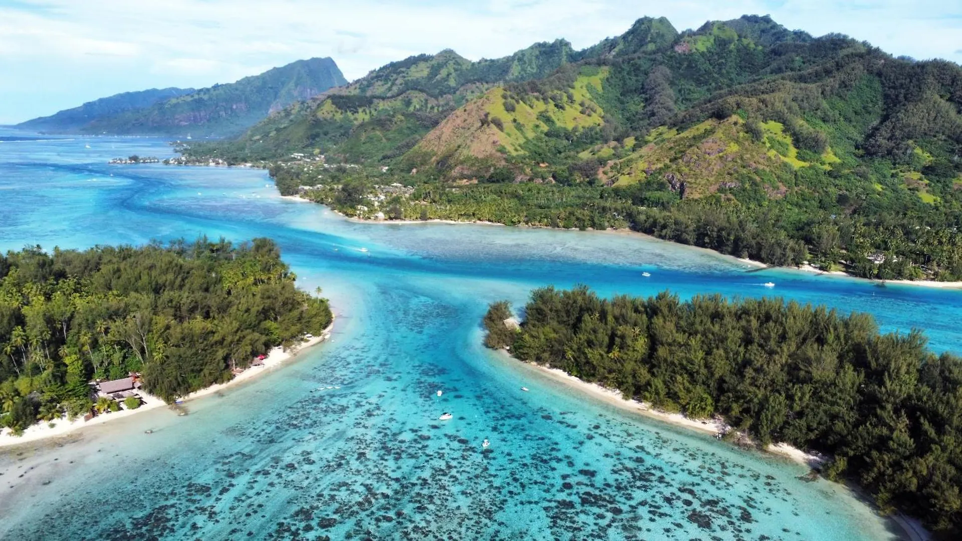 Fare Aito Apartment Moorea French Polynesia